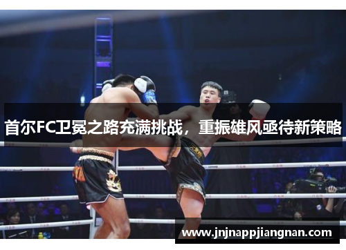 首尔FC卫冕之路充满挑战，重振雄风亟待新策略