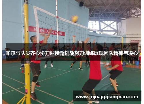 帕尔马队员齐心协力迎接新挑战努力训练展现团队精神与决心